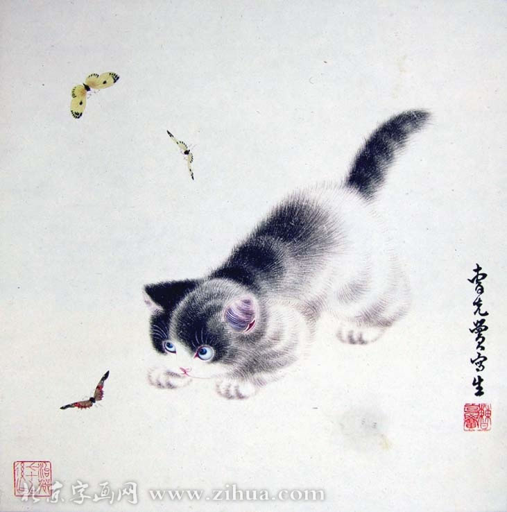 �ܿ���ckh �����ֻ���Ʒ