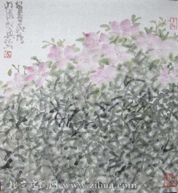 �°���cag �����ֻ���Ʒ