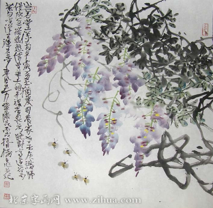 �°���cag �����ֻ���Ʒ