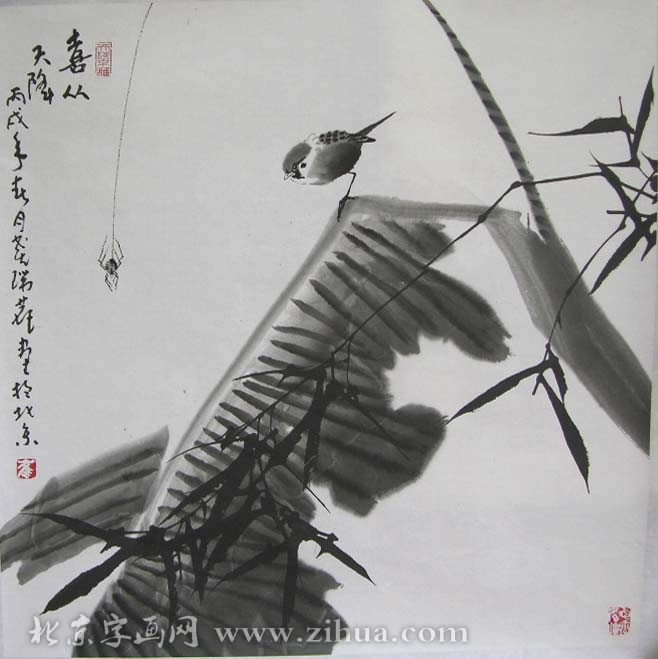 ����¹crl �����ֻ���Ʒ