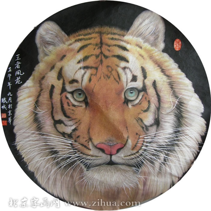 ������dtc ���ֻ���Ʒ