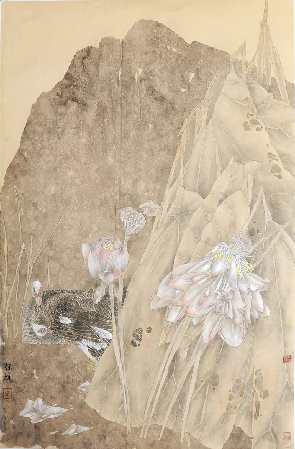 ����Ȩhbq �����ֻ���Ʒ