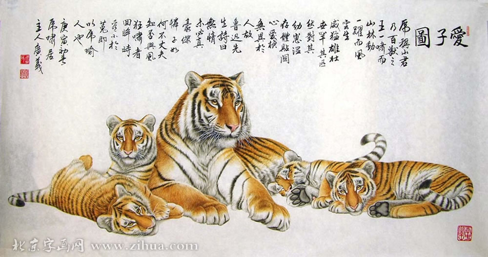 ������qgy ���ֻ���Ʒ