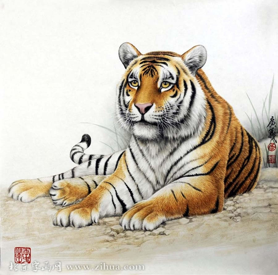 ������qgy ���ֻ���Ʒ