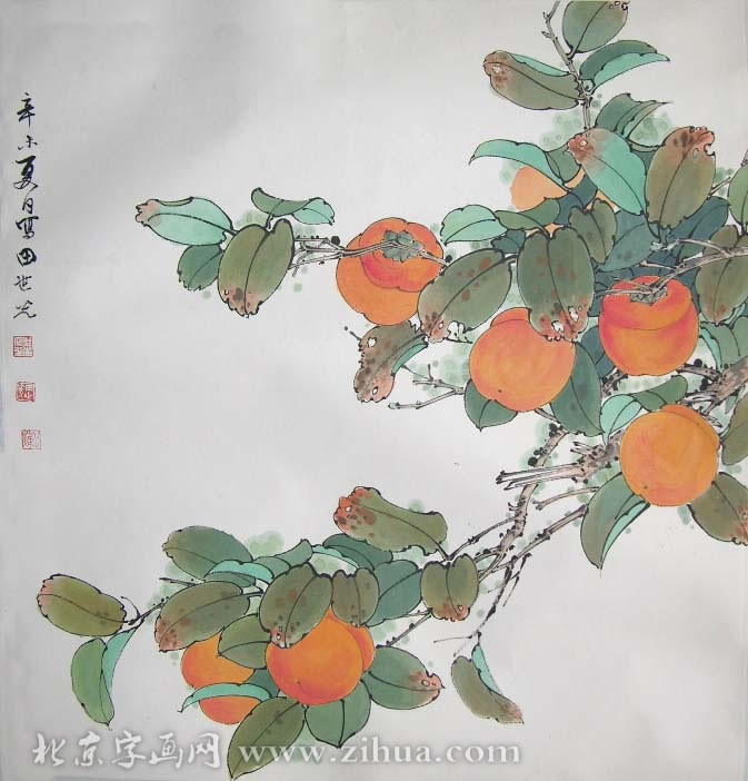 ������tsg �����ֻ���Ʒ