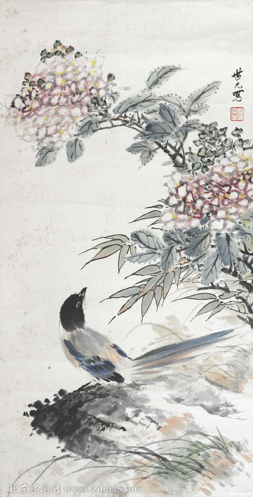 ������tsg �����ֻ���Ʒ