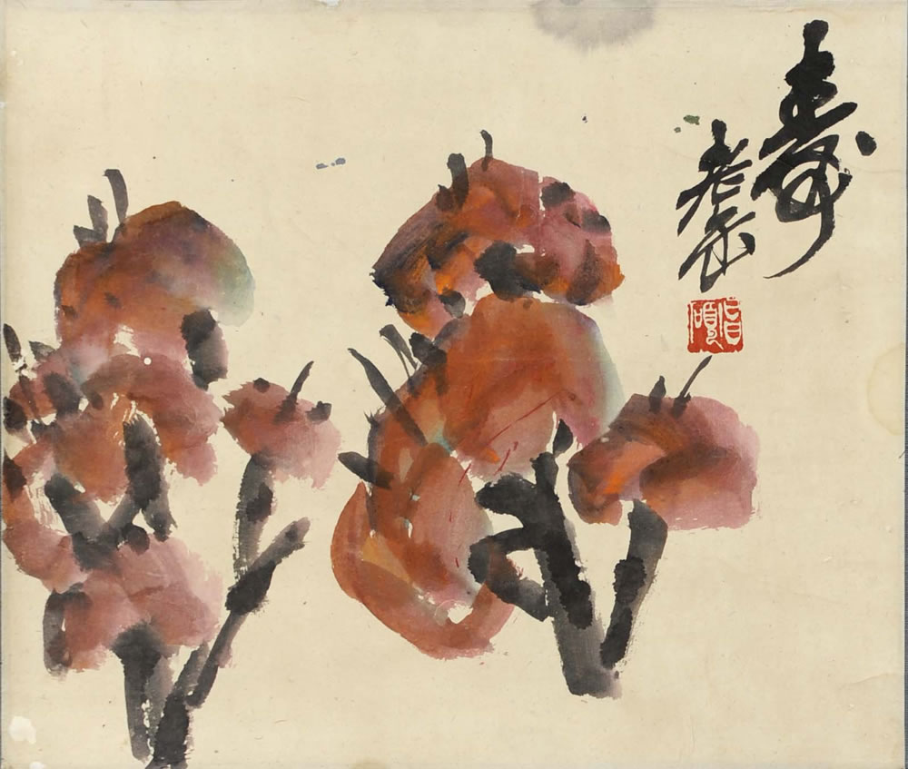 ���˶wcs �����ֻ���Ʒ