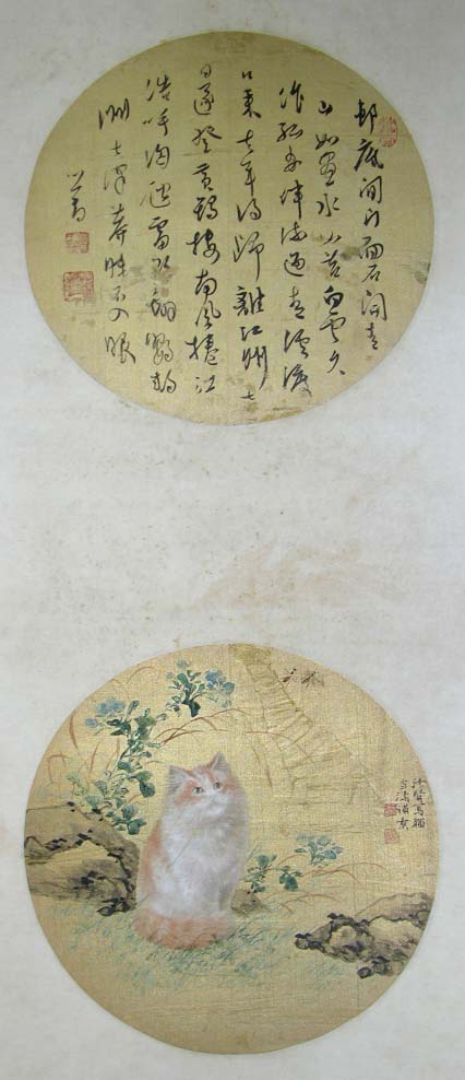 ��ѩ��wxt è�ֻ���Ʒ