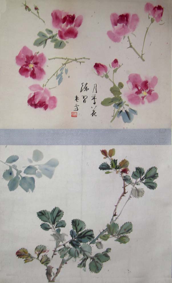 ��ѩ��wxt �¼����ֻ���Ʒ