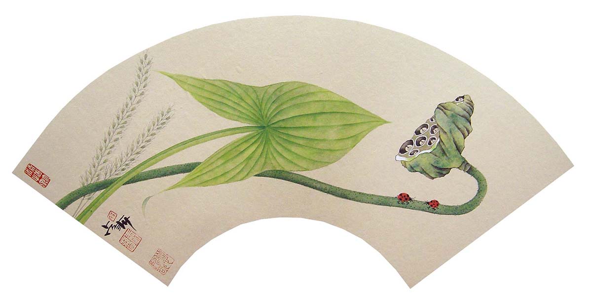 ��ռ��wzc �����ֻ���Ʒ