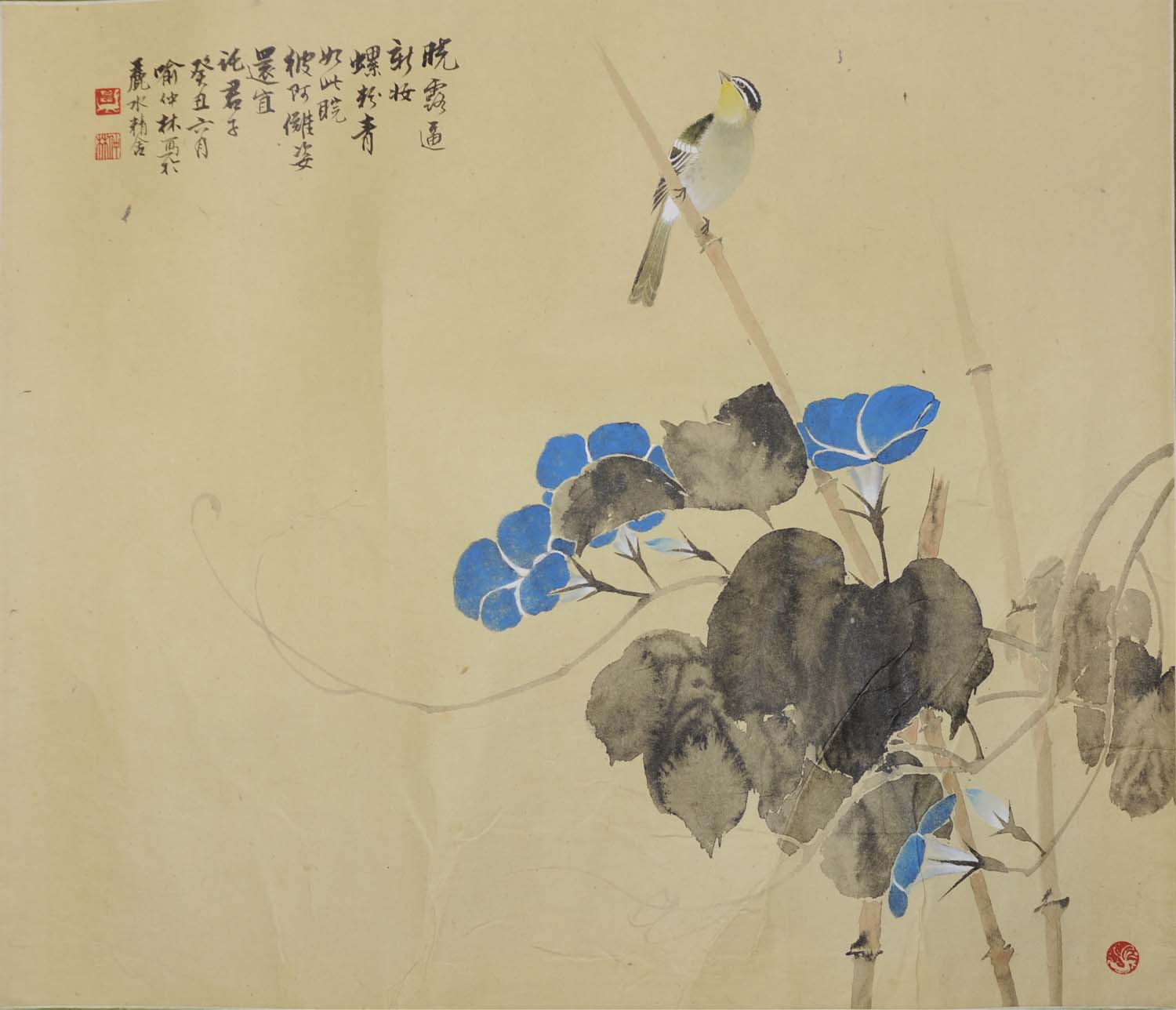 ������yzl �����ֻ���Ʒ