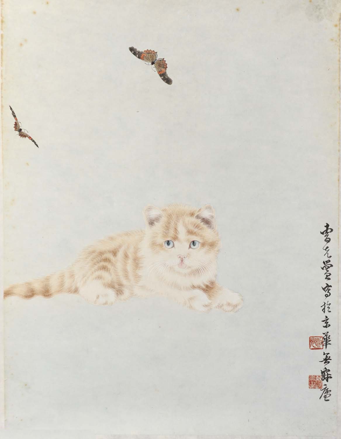 �ܿ���ckh è�ֻ���Ʒ