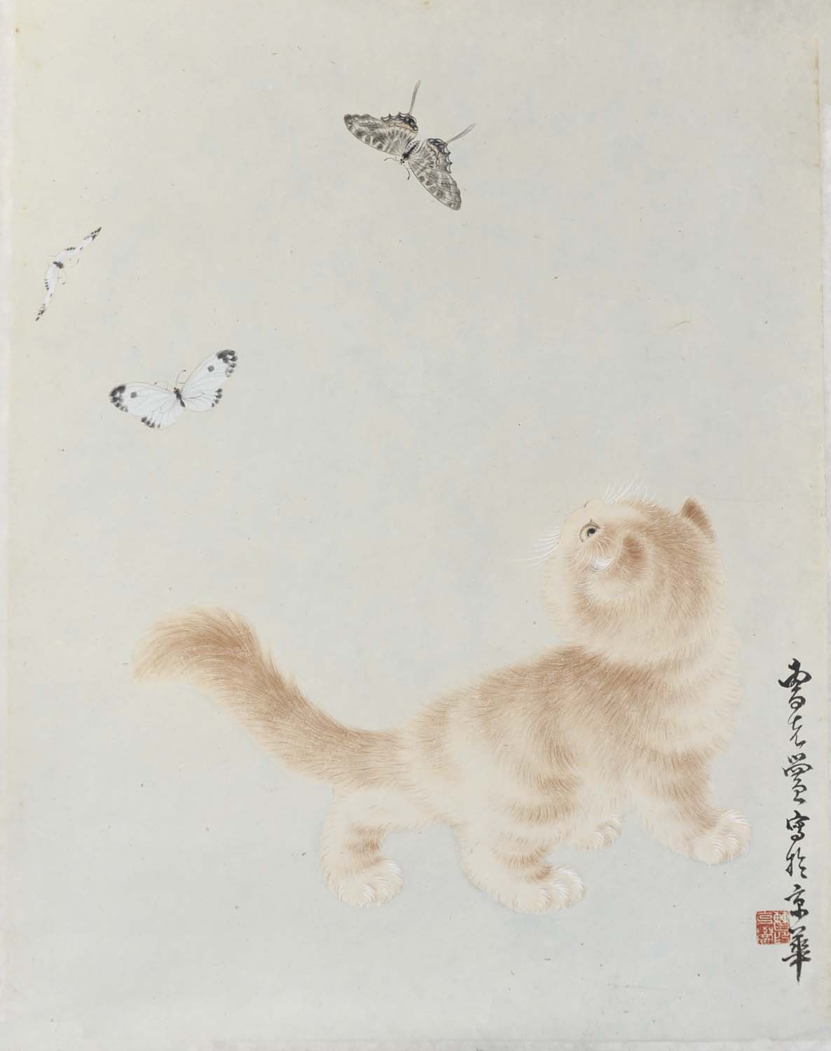 �ܿ���ckh è�ֻ���Ʒ