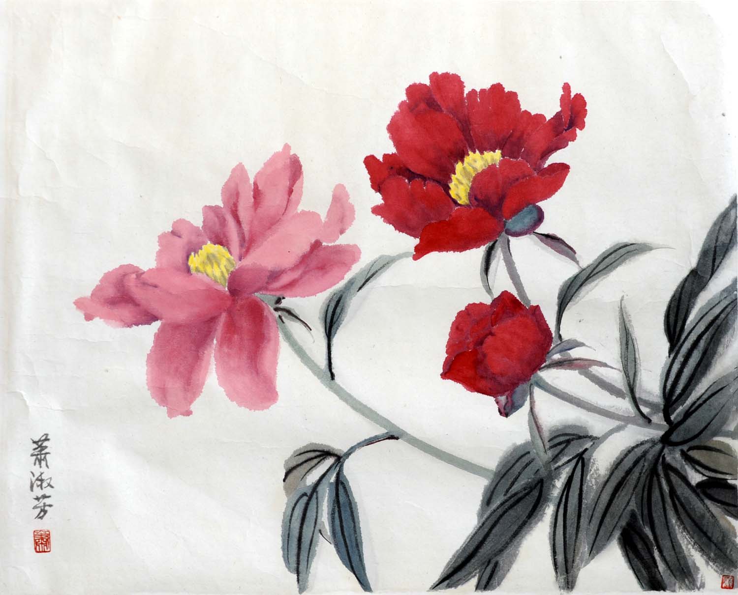 ���緼xsf �����ֻ���Ʒ