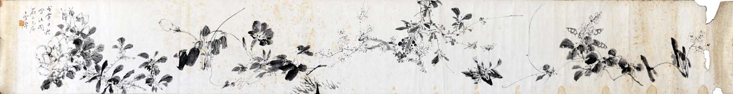 ��ѩ��wxt �����ֻ���Ʒ