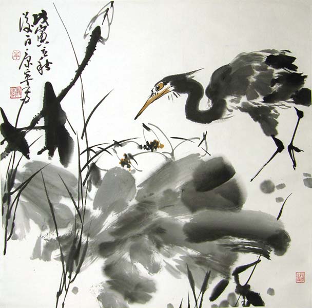 ����kn ����ֻ���Ʒ