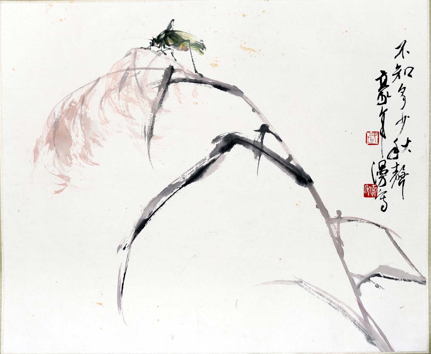 ŷ����ohn ��֪���������ֻ���Ʒ