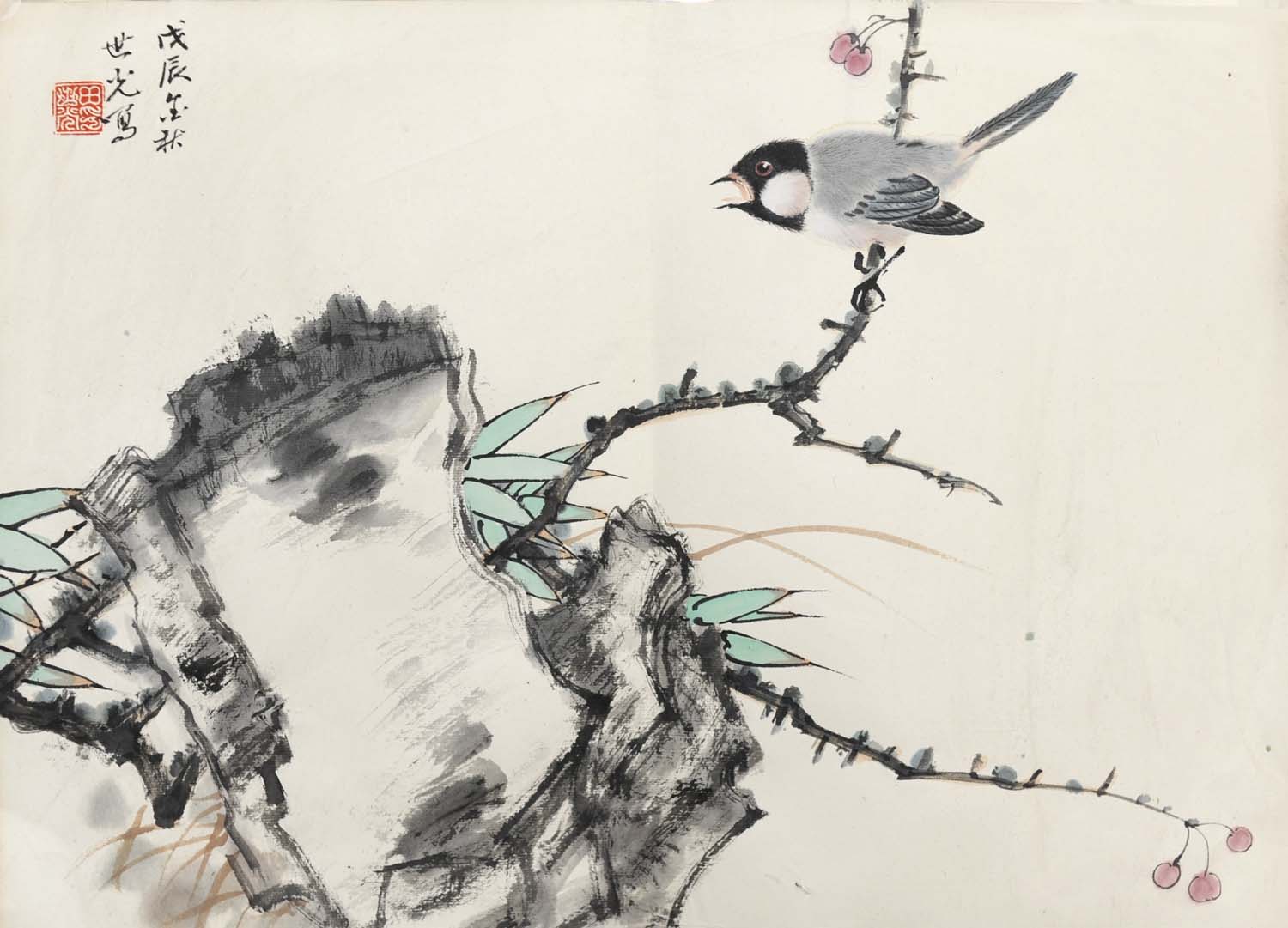 ������tsg �����ֻ���Ʒ