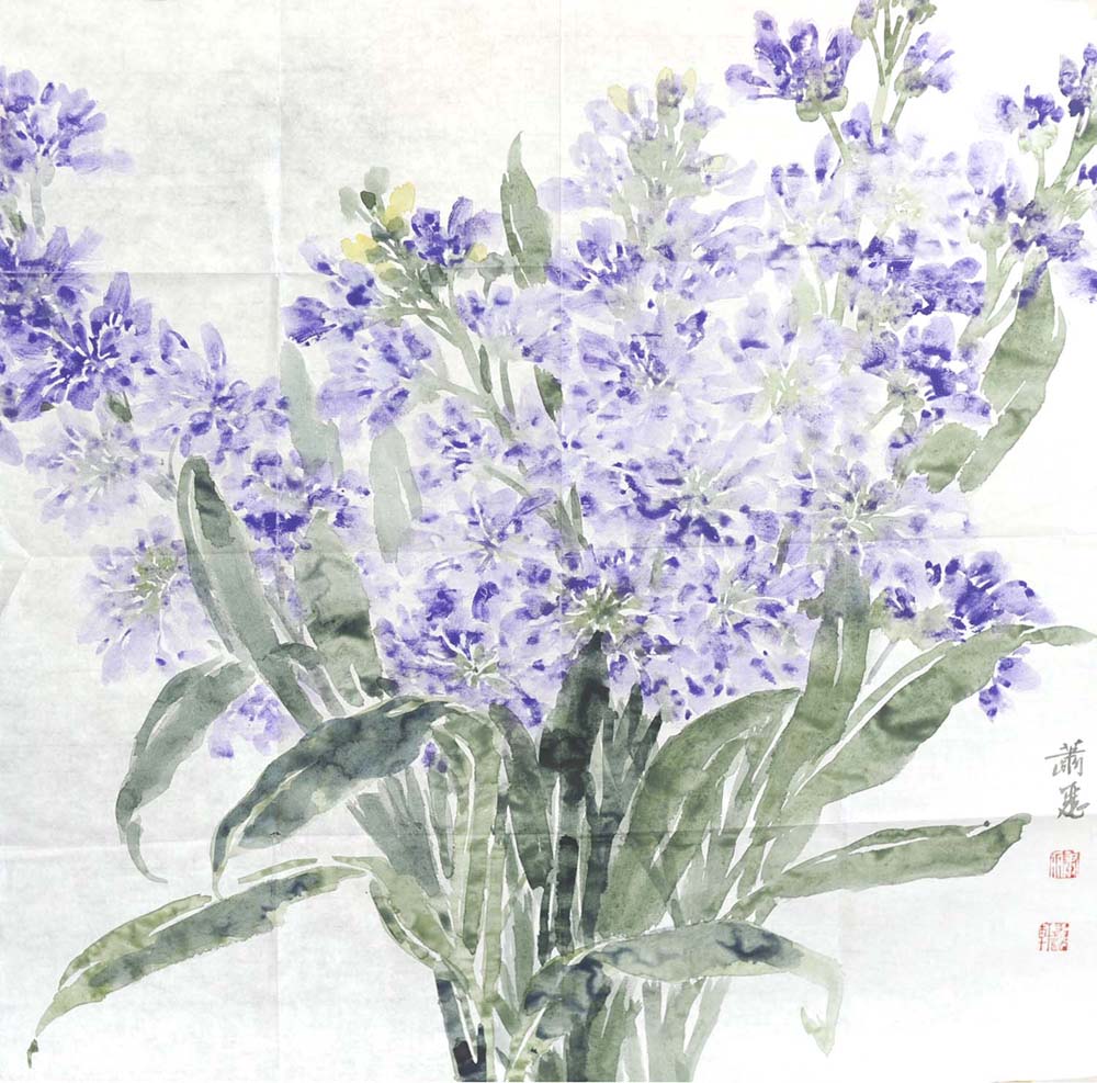 ����xl �����ֻ���Ʒ