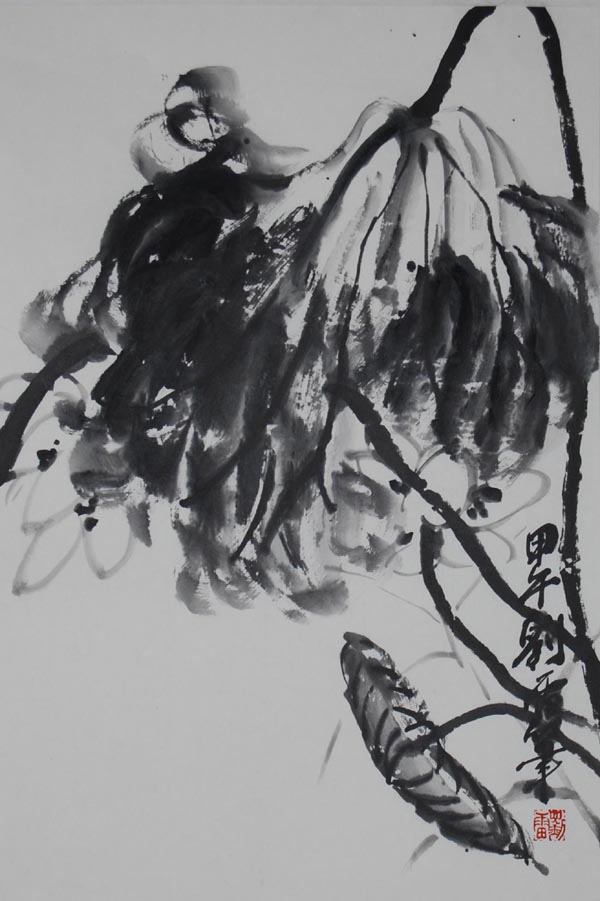 ����ll �ɻ��ֻ���Ʒ