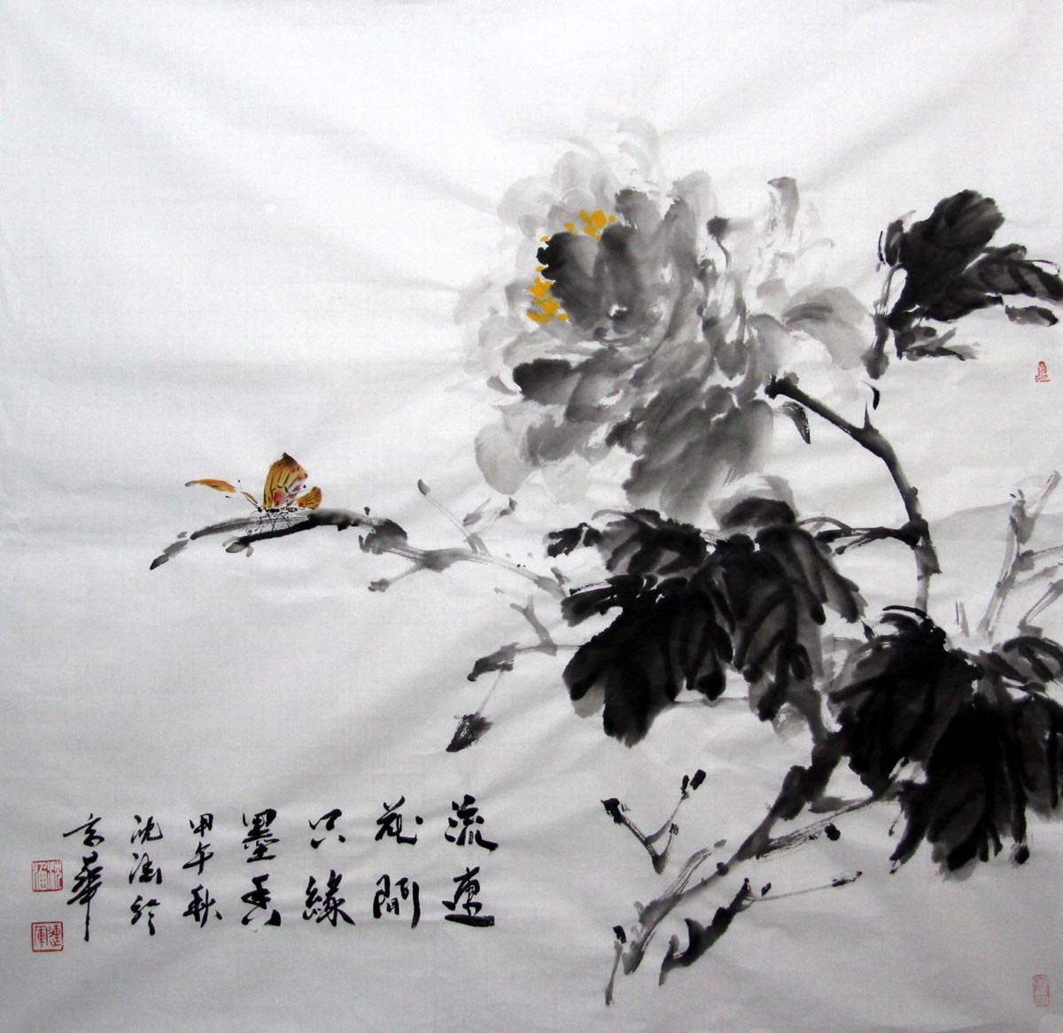 ��sh �����ֻ���Ʒ