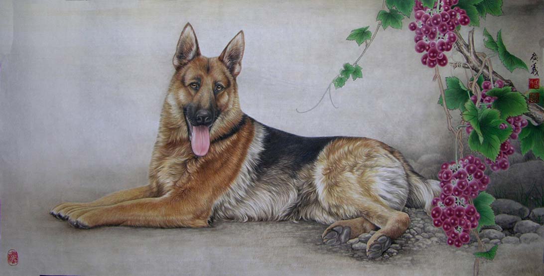 ������qgy ���ֻ���Ʒ