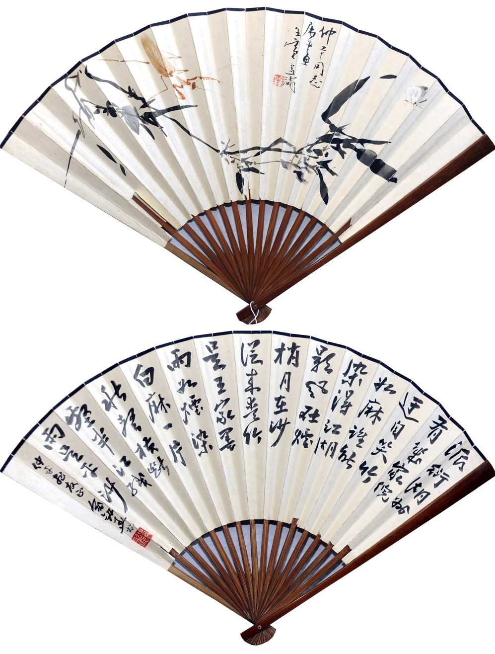 ��ѩ��wxt ī������ֻ���Ʒ