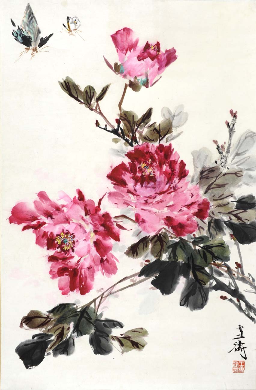 ��ѩ��wxt ĵ�������ֻ���Ʒ