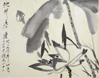 ����ty �����ֻ���Ʒ