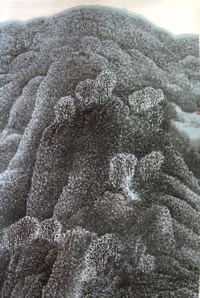 ���ĳ�lwc ɽˮ�ֻ���Ʒ