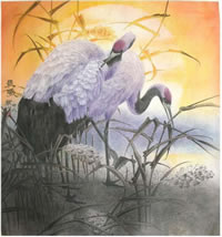 ��һwy �����ֻ���Ʒ